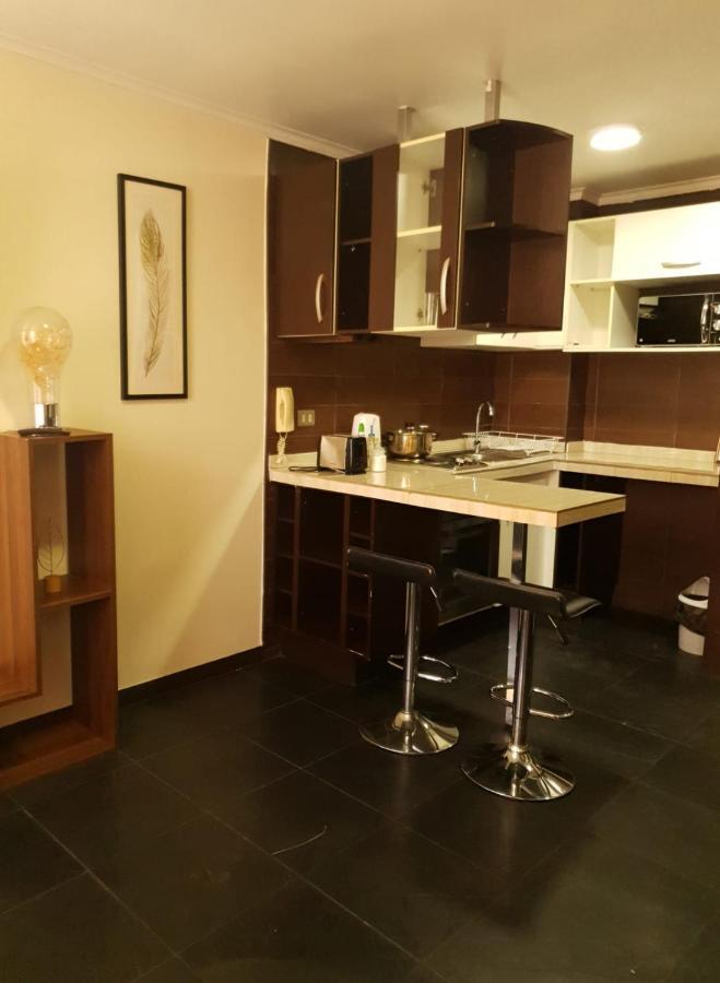 Departamento Con Terraza R&M Apartment ซานติอาโก ภายนอก รูปภาพ
